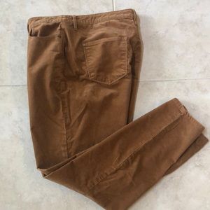 listing-status-banner